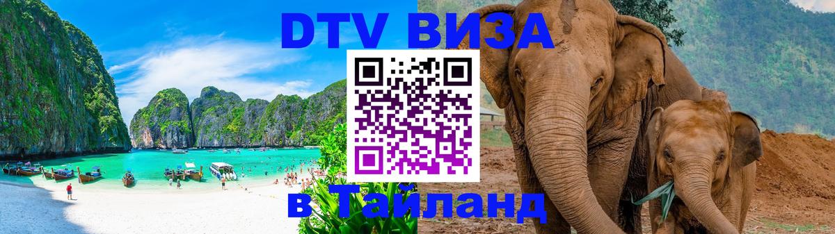 Оформление DTV визы под ключ: стоимость и тарифы, только загранпаспорт - 19.11.2025 